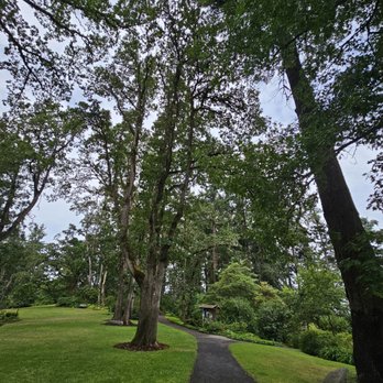 Hendricks Park - Parks Near Me - Eugene, Oregon