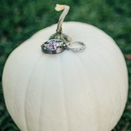 Chesebrough Farm White Pumpkins for our wedding Chesebrough Farm White Pumpkins for our wedding
