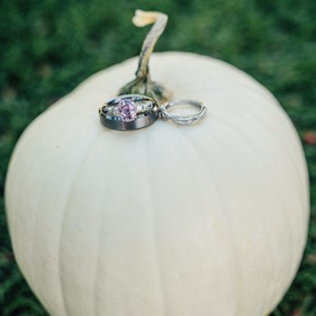 Chesebrough Farm - Chesebrough Farm White Pumpkins for our wedding - Pumpkin Patches Near Me - Templeton, California Chesebrough Farm - Chesebrough Farm White Pumpkins for our wedding - Pumpkin Patches Near Me - Templeton, California