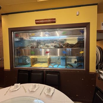 Qin Dynasty - Fresh seafood tanks - Dim Sum Near Me - Parsippany, New Jersey