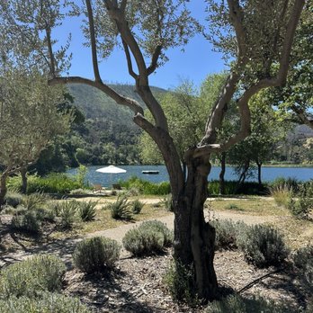 Zaca Lake - Views from the cabins. - Hotels Near Me - Los Olivos, California