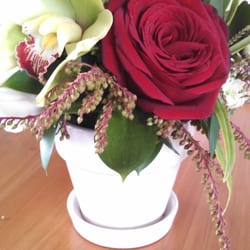 The Little Things - Arrangement that I ordered