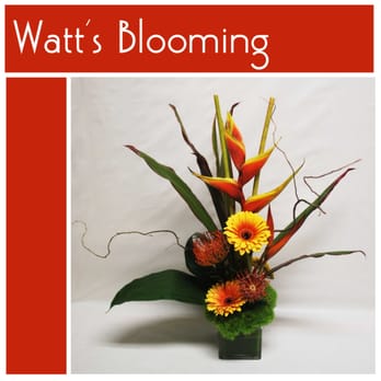 Watt's Blooming - Heliconia, Gerbers, Pin Protea, Curly Willow, Trick Green Dianthus - Florists Near Me - Indianapolis, Indiana Watt's Blooming - Heliconia, Gerbers, Pin Protea, Curly Willow, Trick Green Dianthus - Florists Near Me - Indianapolis, Indiana