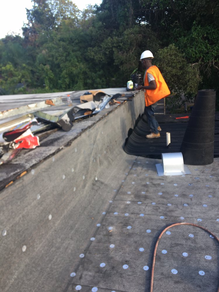 Slide of Tree Of The World Roofing
