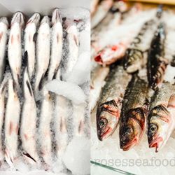 Rose's Seafood