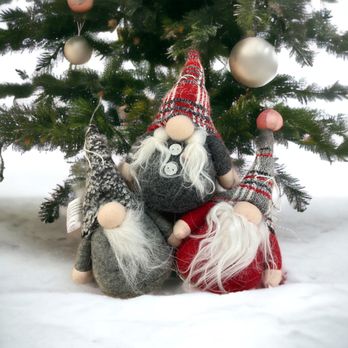 Dragonfly - Gnome ornaments - Women's Clothing Near Me - Boise, Idaho Dragonfly - Gnome ornaments - Women's Clothing Near Me - Boise, Idaho