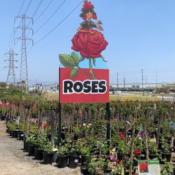 Garden View Nursery - Nurseries & Gardening Near Me - Irwindale, California