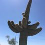 Photo of Sonoran Desert National Monument