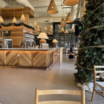 Sycamore Brewing - Bar - Breweries Near Me - Charlotte, North Carolina