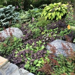 Landscape Creations Nursery - Very natural and color landscape design aesthetic!