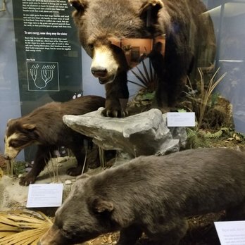 Field Museum - Museums Near Me - Chicago, Illinois