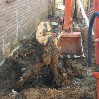 Landmark Restorations - Root removal to allow for french drains. - General Contractors Near Me - Fort Worth, Texas Landmark Restorations - Root removal to allow for french drains. - General Contractors Near Me - Fort Worth, Texas