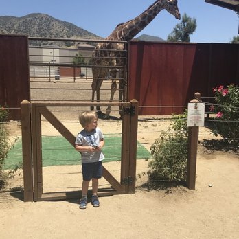 Wildlife Learning Center - Zoos Near Me - Sylmar, California