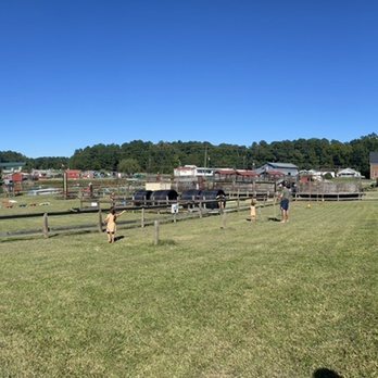 Phillips Farms - Farmers Market Near Me - Cary, North Carolina