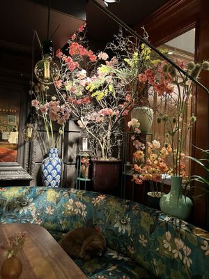 Hotel Estherea by null