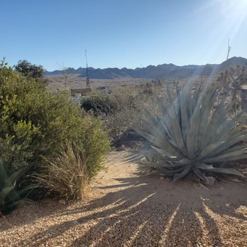 The Desert Lily - Bed & Breakfast Near Me - Joshua Tree, California The Desert Lily - Bed & Breakfast Near Me - Joshua Tree, California