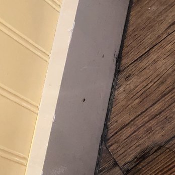 Another Broken Egg Cafe - sorry but there has been multiple roaches at the great place another broken egg. - Breakfast & Brunch Near Me - Pearland, Texas