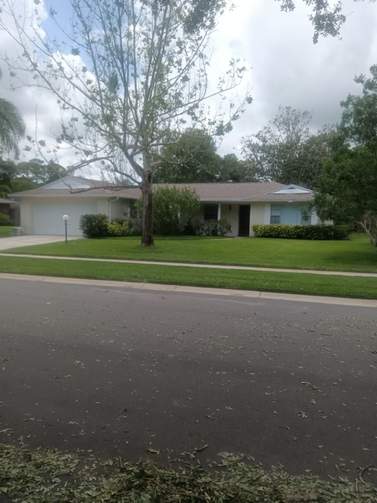 MYSTIC LAWN CARE 99 Bossieux Blvd, Melbourne, Florida Lawn Services