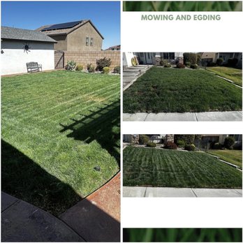 Bay Landscape - Gardeners Near Me Bay Landscape - Gardeners Near Me