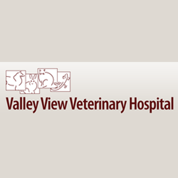 Valley View Veterinary Hospital - Veterinarians Near Me - Saint Croix Falls, Wisconsin Valley View Veterinary Hospital - Veterinarians Near Me - Saint Croix Falls, Wisconsin