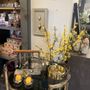 Photo of BARRON’s Boutique