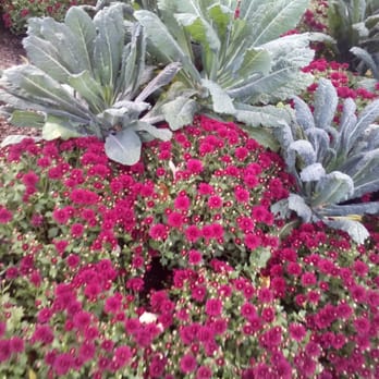 Chicago Botanic Garden - Botanical Gardens Near Me - Glencoe, Illinois