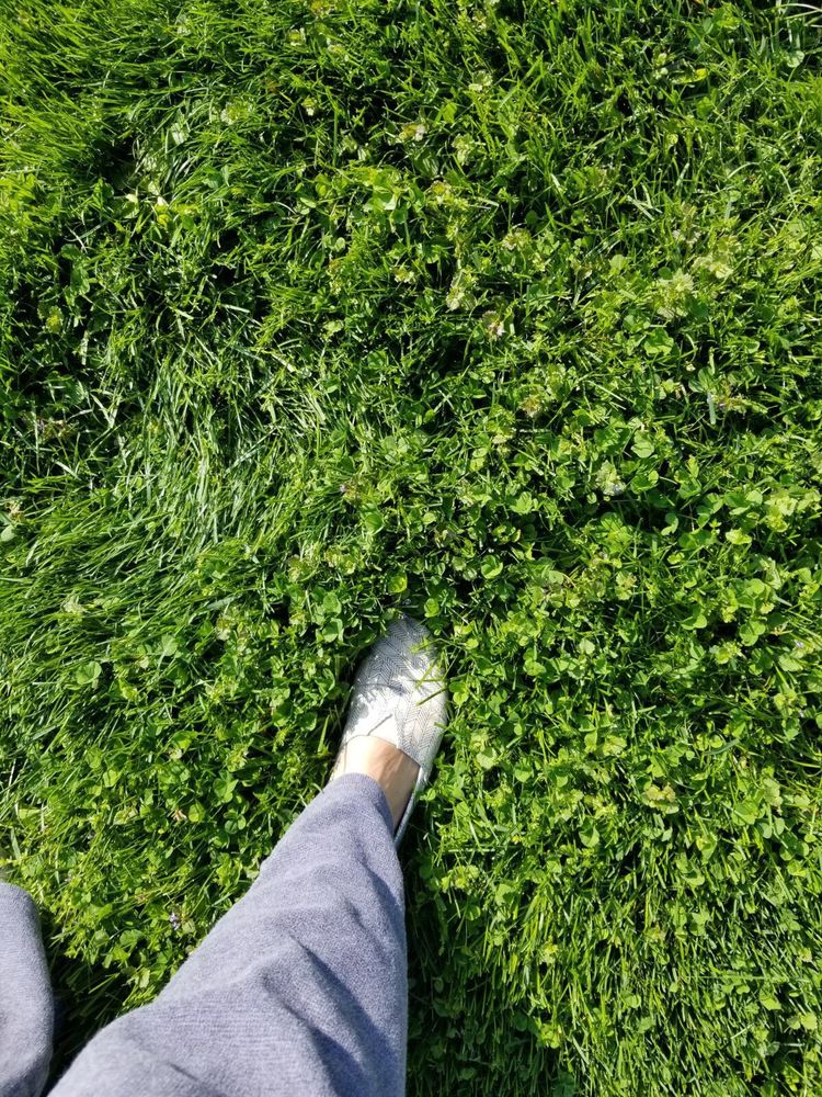 FLOWER VALLEY LANDSCAPING - Updated November 2025 - Gaithersburg ...
