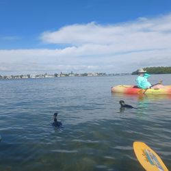 Kayaking SRQ Tours And Rentals - Siesta Keys