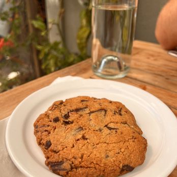 Fig Tree - Cafes Near Me - Los Angeles, California