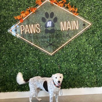 Paws At Main - Pet Groomers Near Me - Corona, California Paws At Main - Pet Groomers Near Me - Corona, California