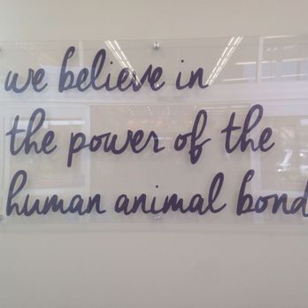 Petco - Nothing wrong with that mantra. I'm down. - Pet Stores Near Me - North Hollywood, California Petco - Nothing wrong with that mantra. I'm down. - Pet Stores Near Me - North Hollywood, California