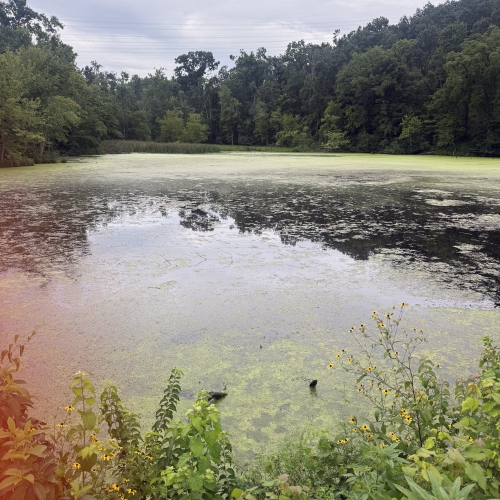 Radnor Lake State Park - Parks Near Me - Nashville, Tennessee Radnor Lake State Park - Parks Near Me - Nashville, Tennessee