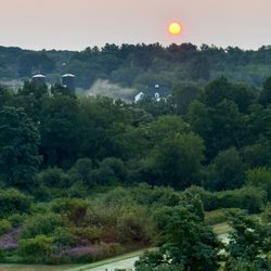 Alfalfa Farm Winery