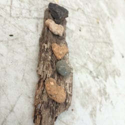 Northern California Vipassana Center - Found art (4/12/15)