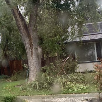 Juniors Tree Service Inc - We have license, insurance, bond, and a great efficient team
We give free estimates And you won't be disappointed! - Tree Services Near Me Juniors Tree Service Inc - We have license, insurance, bond, and a great efficient team
We give free estimates And you won't be disappointed! - Tree Services Near Me