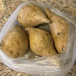 Lucky Taro - Hawaii Purple Yam