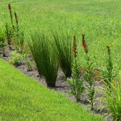 Bryan & Sons - Stormwater Solutions that Attract Beneficial Insects