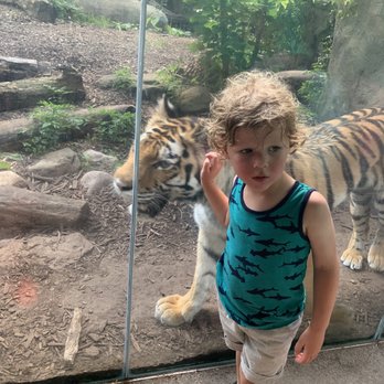 Indianapolis Zoo - The tiger habitat is amazing. - Zoos Near Me - Indianapolis, Indiana Indianapolis Zoo - The tiger habitat is amazing. - Zoos Near Me - Indianapolis, Indiana