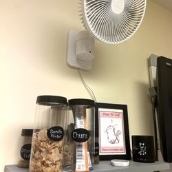 The Cat Doctor Veterinary Hospital - Complimentary Treats to try while awaiting the best cat vets in TV!