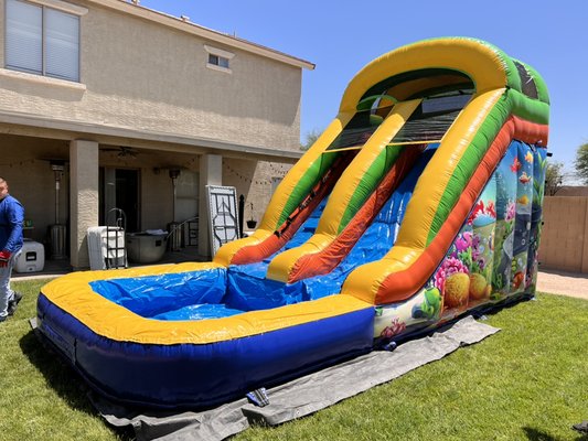 EL GRAN BRINCA - Updated December 2025 - 36 Photos - 1004 W