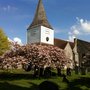 Photo of St Nicolas C of E Church