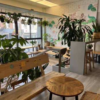 Rustle & Still Café - Inside entrance area - Coffee & Tea Near Me - Toronto, Ontario Rustle & Still Café - Inside entrance area - Coffee & Tea Near Me - Toronto, Ontario