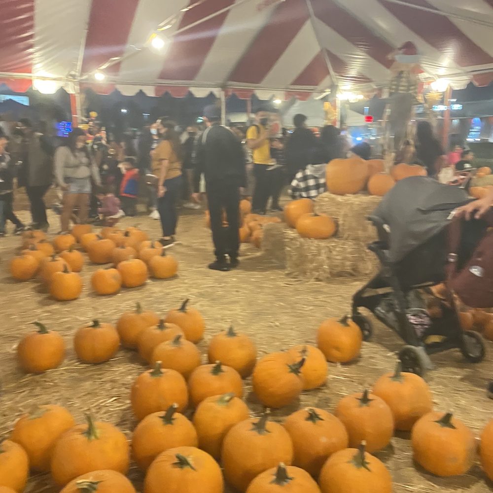 Whittier Christmas trees - Pumpkin Patches Near Me - Whittier, California Whittier Christmas trees - Pumpkin Patches Near Me - Whittier, California