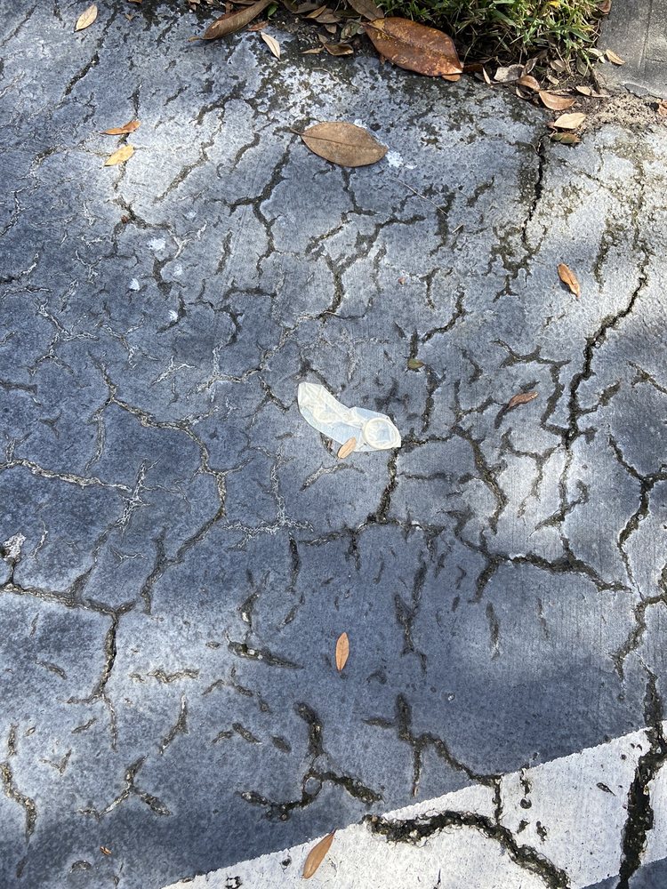 HAMLIN AT LAKE BRANDON 92 Photos & 11 Reviews 1508 LaDora Dr