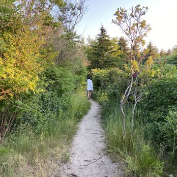 Cedar beach - Path - Beaches Near Me - Harpswell, Maine