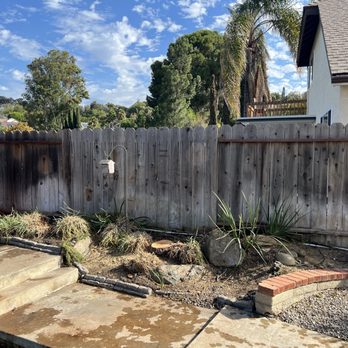Highland Tree Care - Trees after being cut. Stumps not yet removed - Tree Services Near Me - Escondido, California Highland Tree Care - Trees after being cut. Stumps not yet removed - Tree Services Near Me - Escondido, California