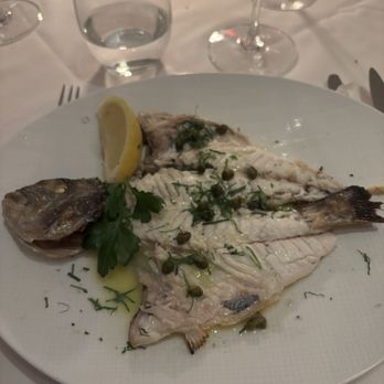Estiatorio Milos - WHOLE GRILLED FISH OF THE DAY - Seafood Near Me - New York, New York Estiatorio Milos - WHOLE GRILLED FISH OF THE DAY - Seafood Near Me - New York, New York
