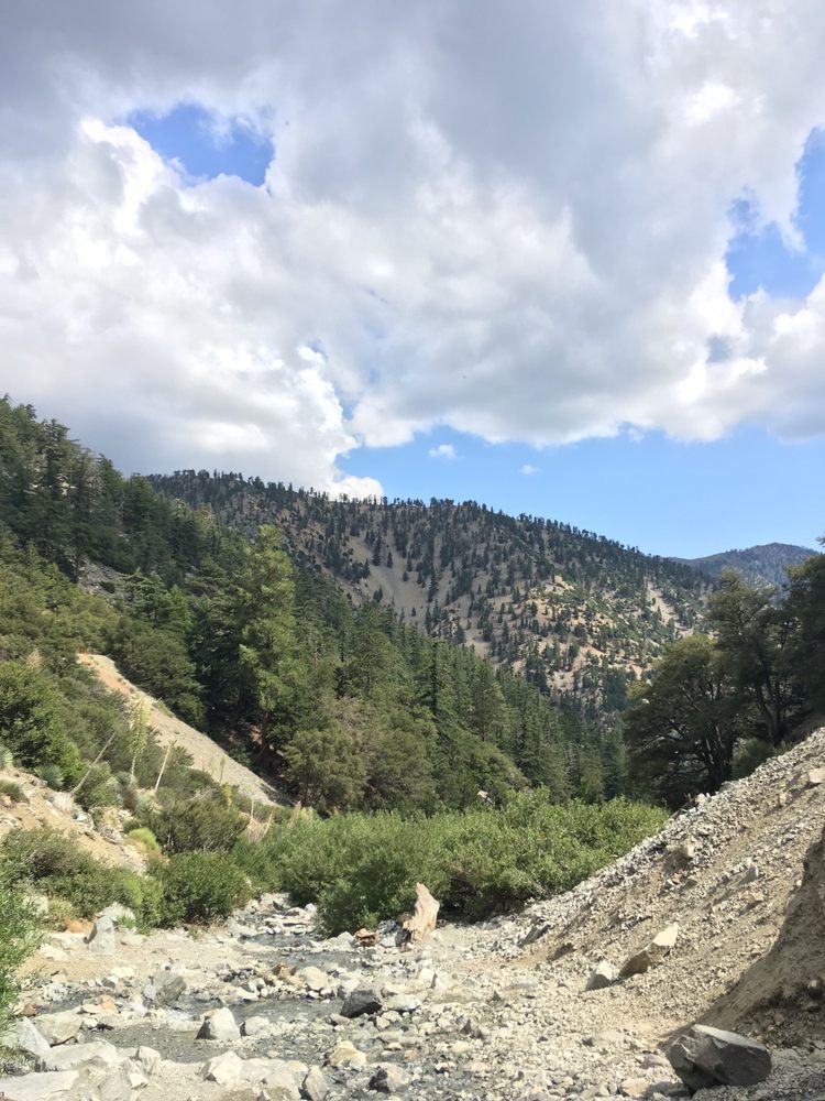 MT. BALDY AQUATICS 915 W Foothill Blvd, Claremont, CA Yelp