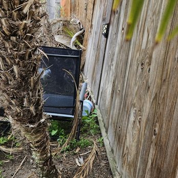Cardenas Tree Perfection - Fence being pushed away - Tree Services Near Me Cardenas Tree Perfection - Fence being pushed away - Tree Services Near Me