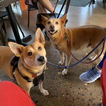 Sip Coffee & Beer - Happy customers! Dog friendly inside and outside - Coffee & Tea Near Me - Scottsdale, Arizona Sip Coffee & Beer - Happy customers! Dog friendly inside and outside - Coffee & Tea Near Me - Scottsdale, Arizona